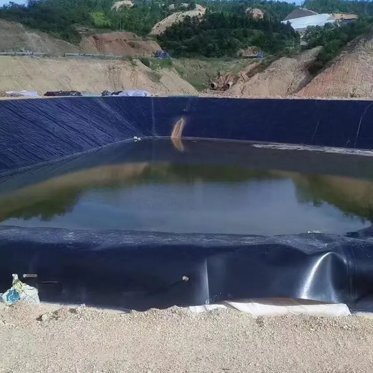 geomembrane (4).webp